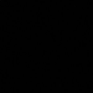 Meet your Posher, Sean